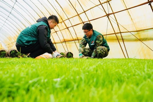 青春助農春耕忙 北大荒集團梧桐河農場青年服務團一線護航農業生產